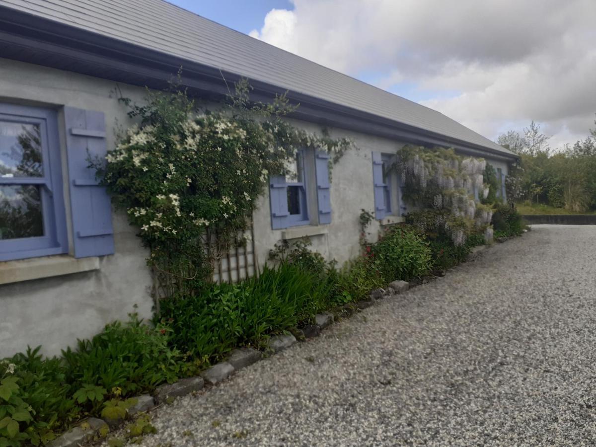 Escape To The Country Villa Westport Dış mekan fotoğraf